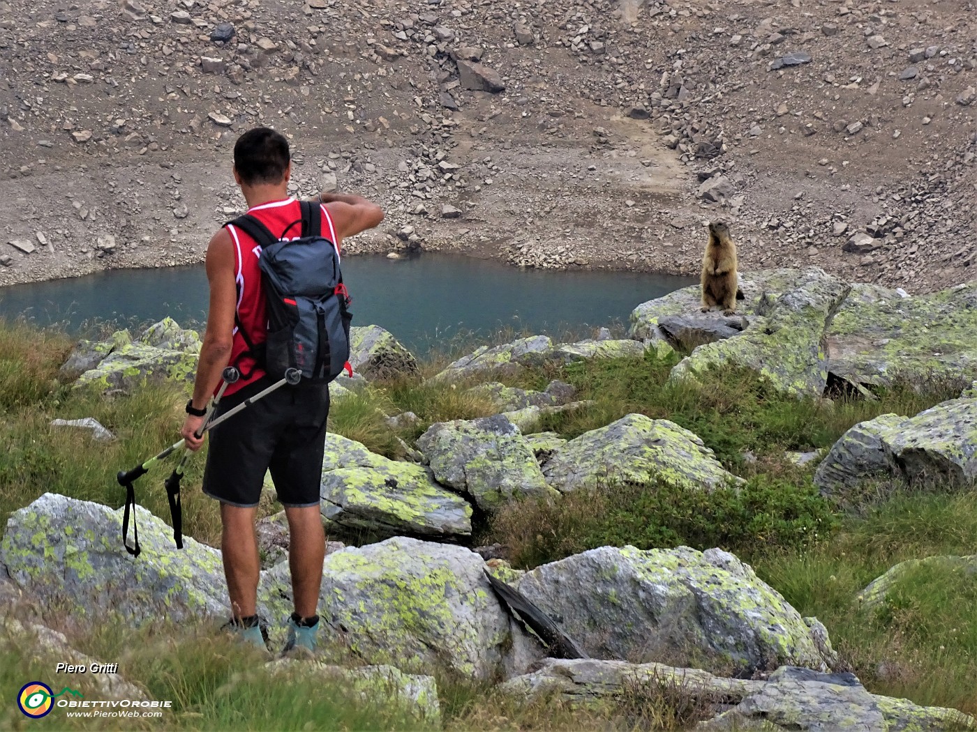 55 La marmotta di fronte ad intruso si pone in sentinella.JPG